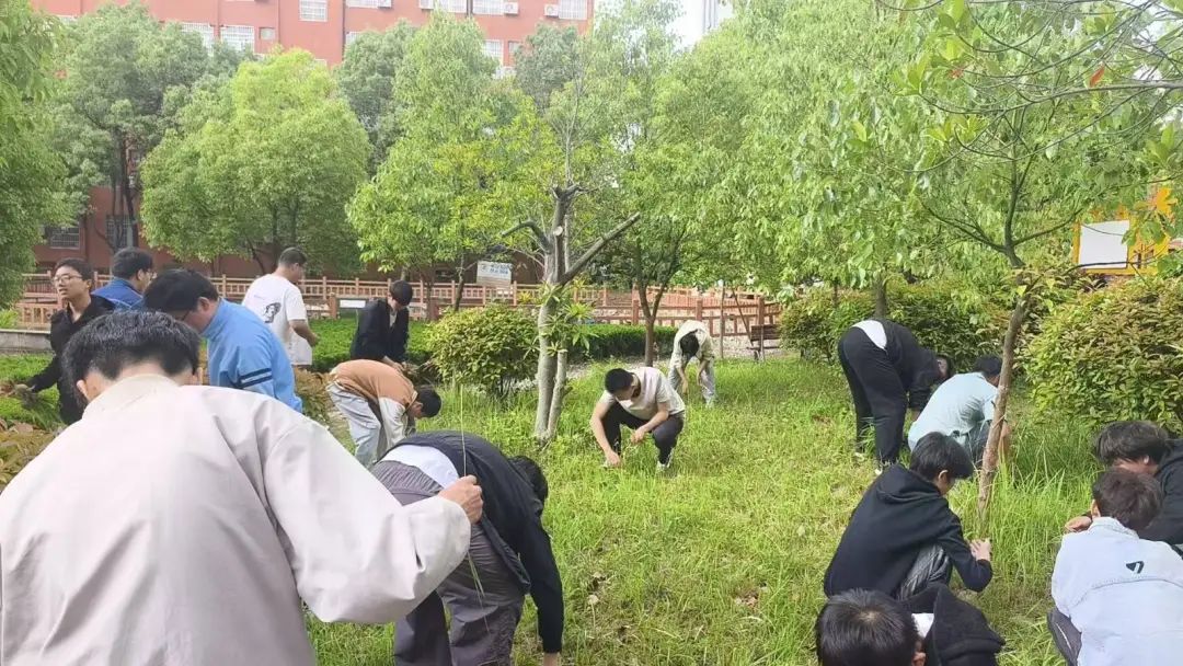 微信圖片_20250610143014.jpg
