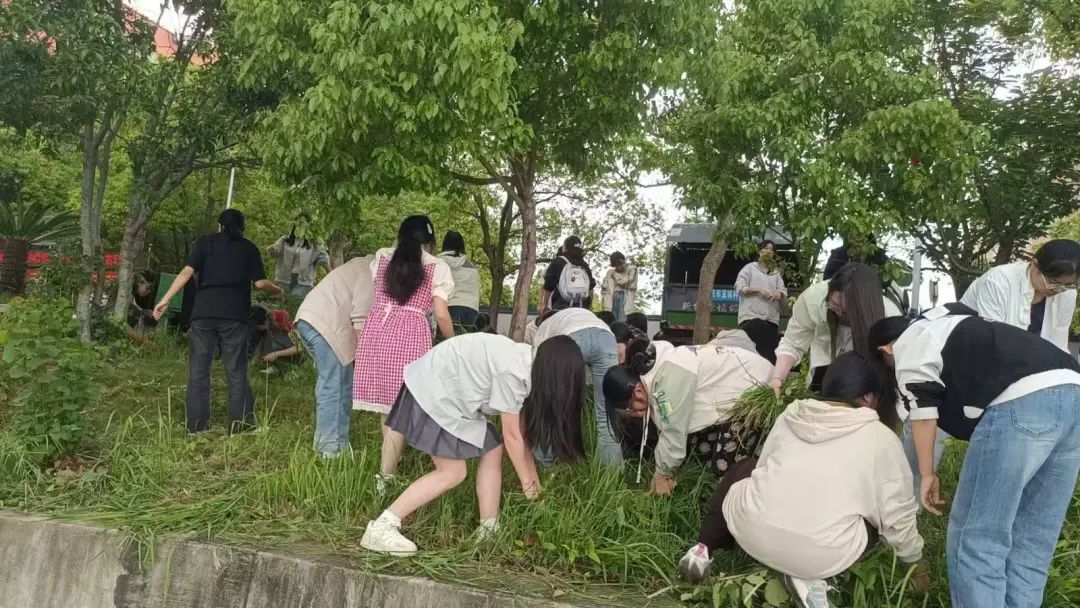 微信圖片_20250610143043.jpg